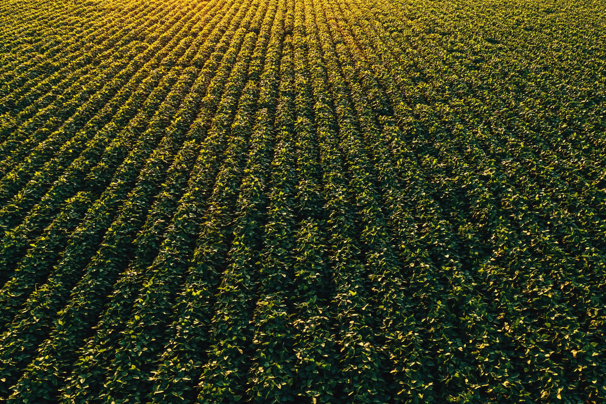 Aerial view of North Carolina farmland