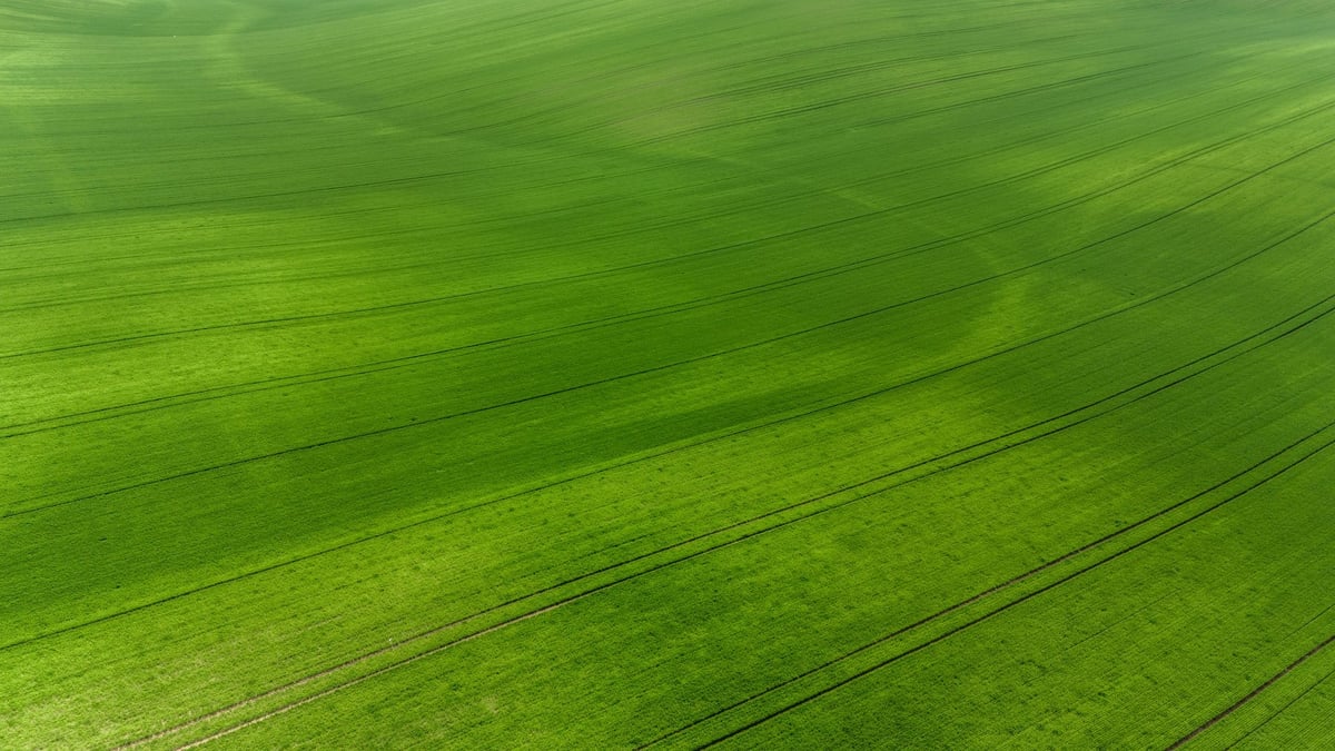 Drone view of countryside and green hills