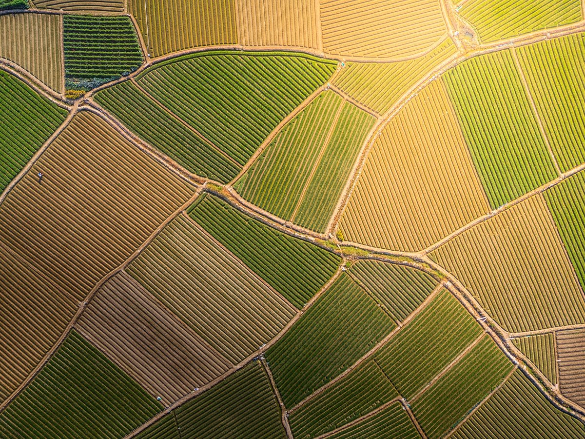 Aerial view of farmland and fields